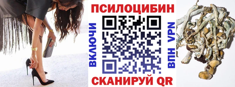 Псилоцибиновые грибы Magic Shrooms  Богородицк 