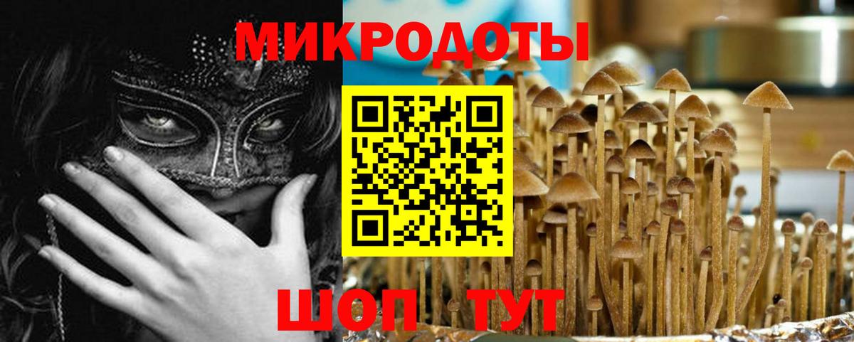 Богородицк  Галлюциногенные грибы мицелий  Вход с VPN  Псилоцибиновые грибы GOLDEN TEACHER 